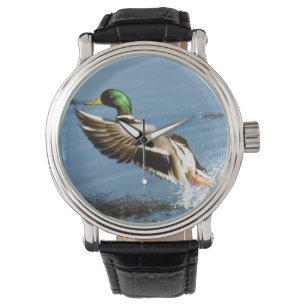 Montre Mallard Duck