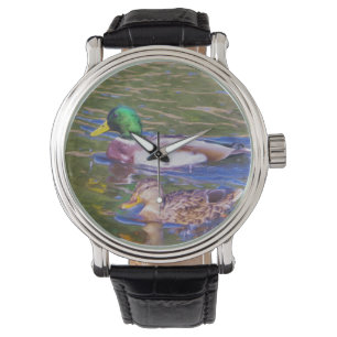 Montre Mallard Ducks