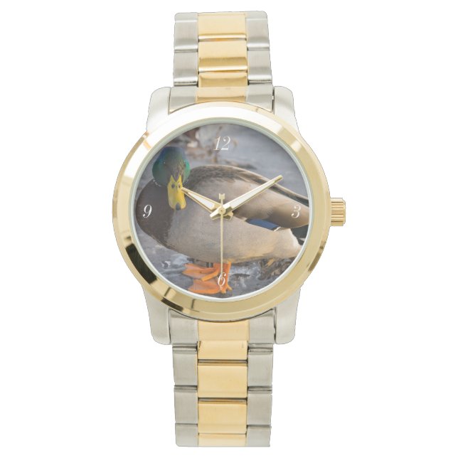 Montre Mallard Sur La Glace (devant)