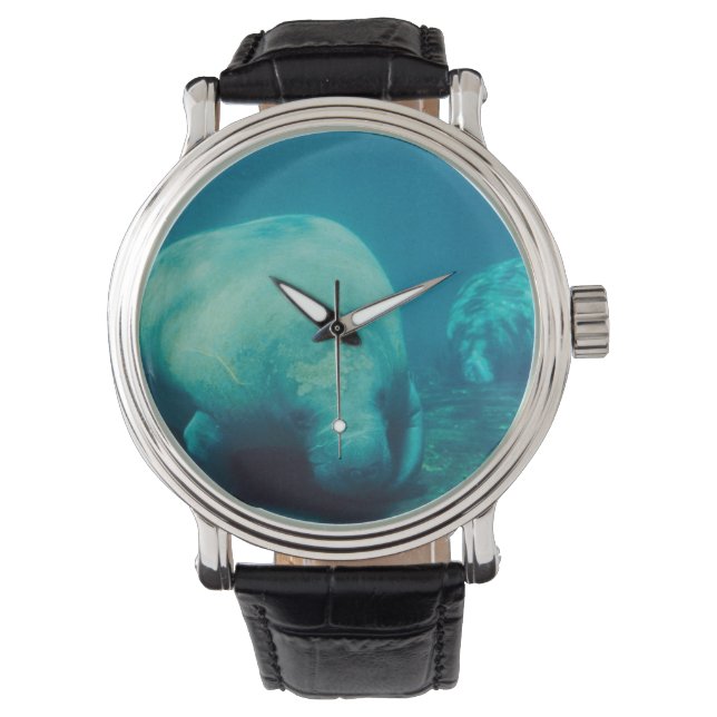 Montre Manatee (devant)