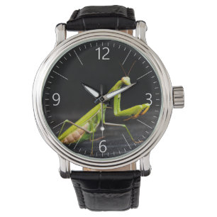 Montre Mante priante