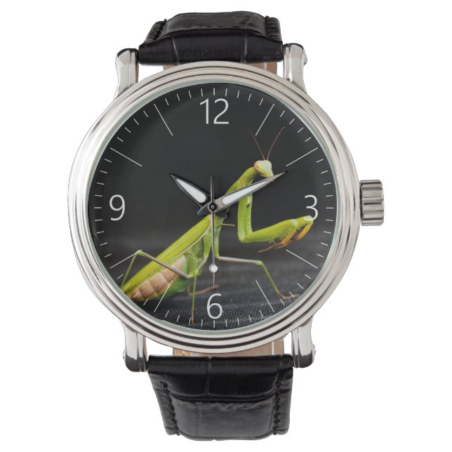 Montre Mante priante (devant)
