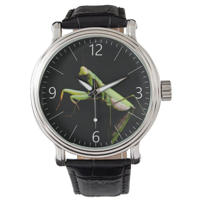 Montre Mante priante (devant)