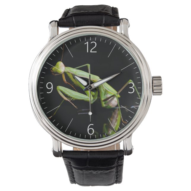Montre Mante priante (devant)