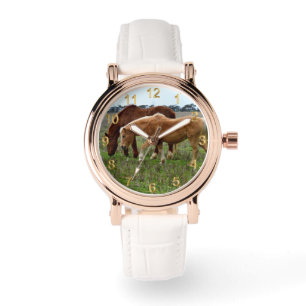 Montre Mare De Châtaignes Et Foin De Palomino,