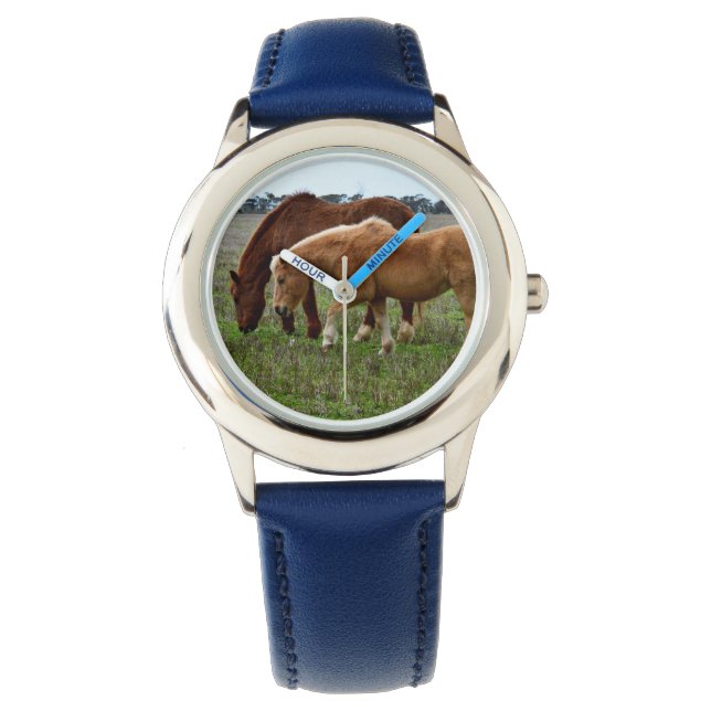 Montre Mare Et Foin De Châtaignes, (devant)