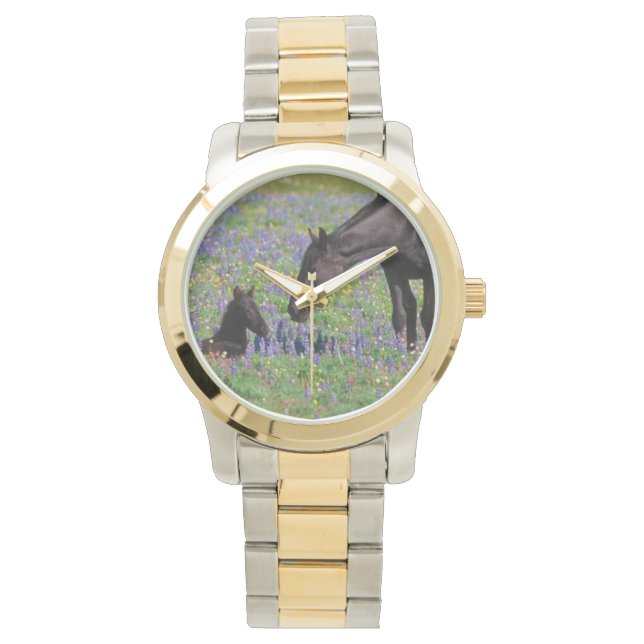 Montre Mare et poulain avec Bluebonnets regardez visage (devant)