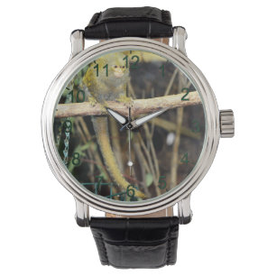 Montre Marmoset Monkey En Alerte, Mens Wrist Watch