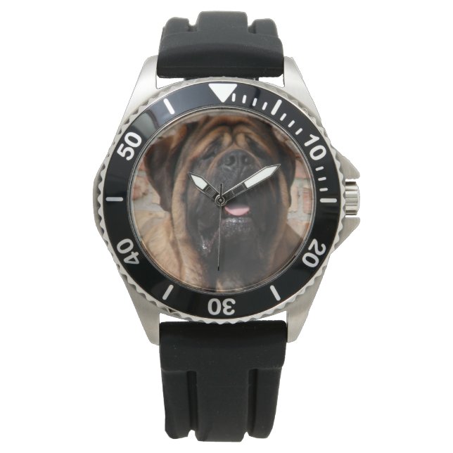 Montre Mastiff anglais (devant)