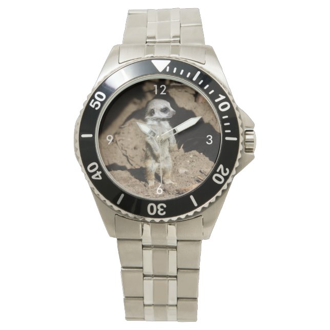 Montre Meerkat20160201 (devant)