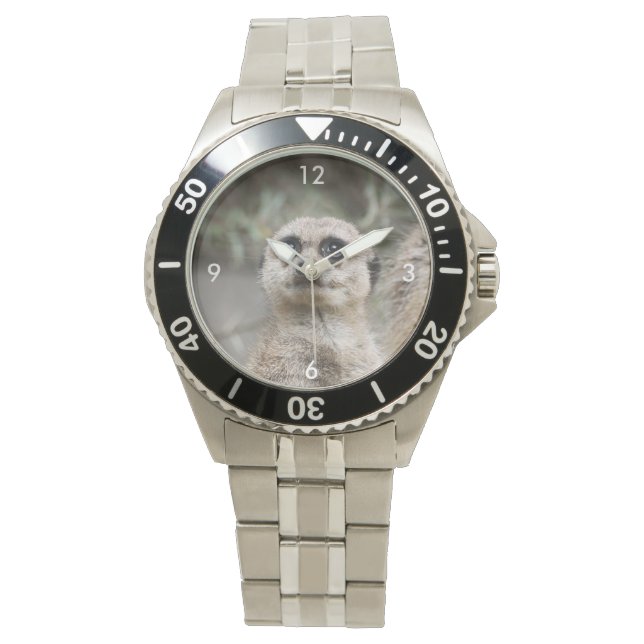Montre Meerkat_021 (devant)