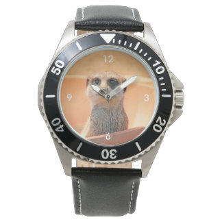 Montre Meerkat_2015_0202