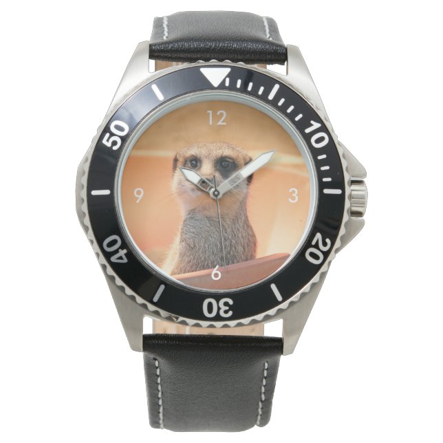 Montre Meerkat_2015_0202 (devant)