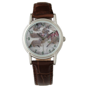Montre Meerkats Carnivores Avec Des Crevettes Pour Thé,