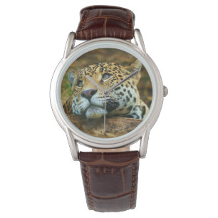Montre Mens Classic Watch/Wildlife Leopard