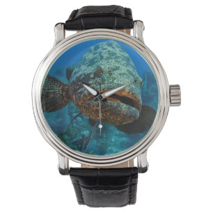 Montre Mérou géant de l'Atlantique