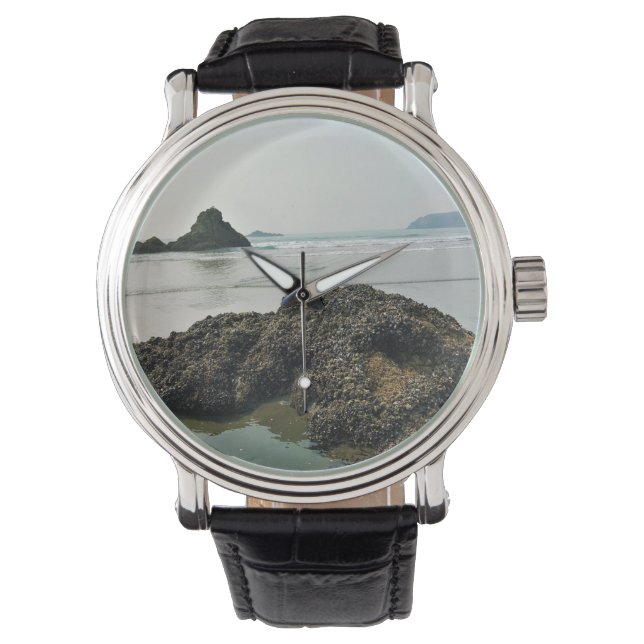 Montre Meyers Beach North, Gold Beach, Oregon (devant)