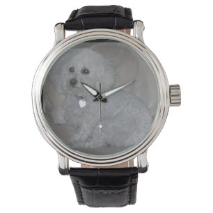 Montre Mini-guet blanc de poodle