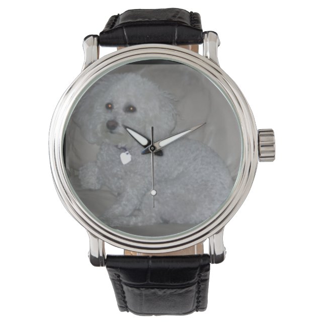 Montre Mini Poodle Blanc Montre-Poignon (devant)