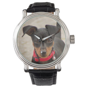 Montre minuscule-pinscher-noir et rouille