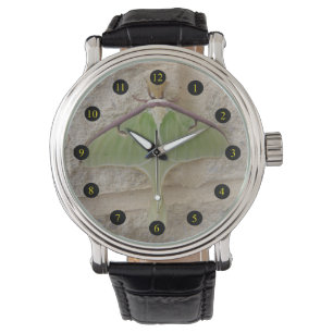 Montre Mite de Luna