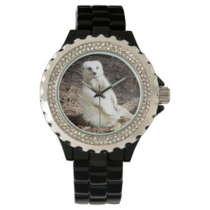 Montre Modèle en nature : Posing Meerkat blanc pour camér