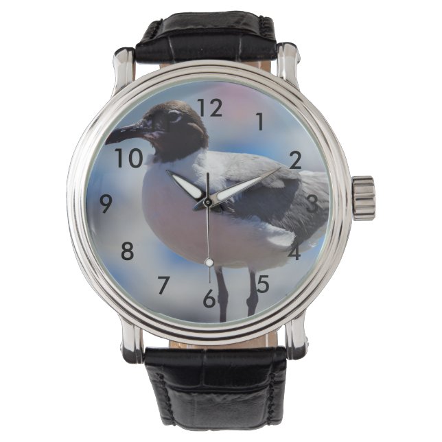 Montre Moi, un mouette (devant)