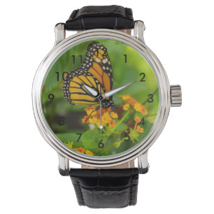Montre Monarque Sur Lantana