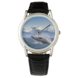 Montre Montagnes Baleines en route Glacier Bay, Alaska