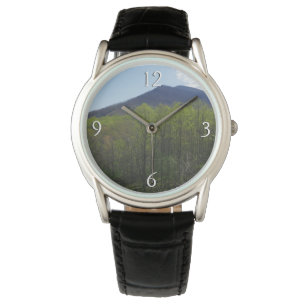Montre Montagnes fumées dans le paysage printanier