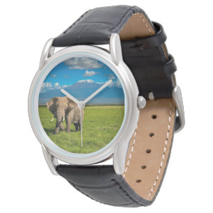 Montre Montagnes Mont Kilimandjaro Tanzanie, Afrique