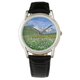 Montre Montagnes Swiss Alps Valley Spring