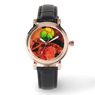 Montre mosquitus