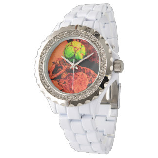 Montre mosquitus