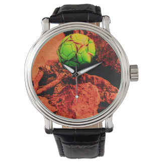 Montre mosquitus