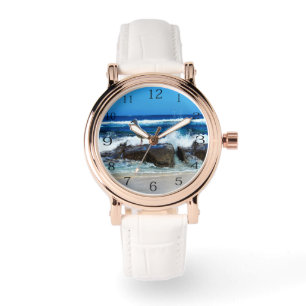 Montre Mouette Sur Les Rochers De Plage,