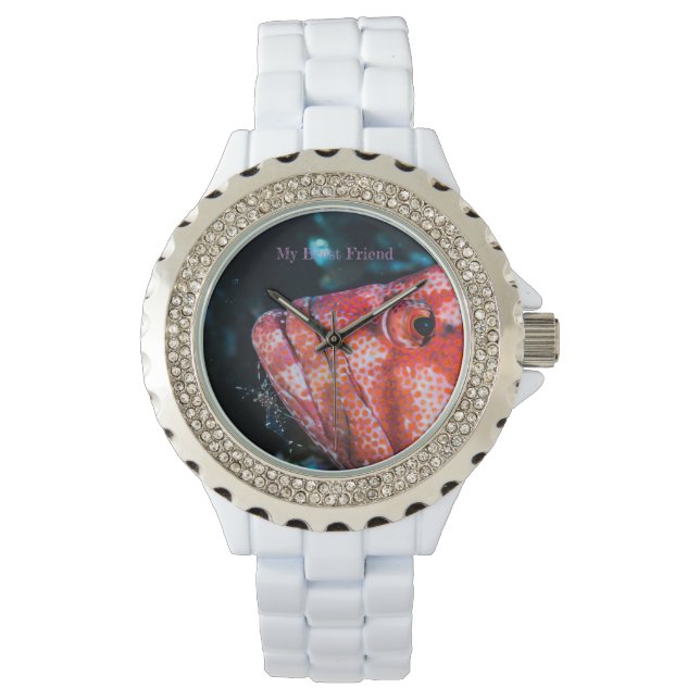 Montre My Brest Friend, pretty fish and little shrimp (devant)