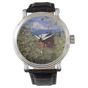 Montre N.A., États-Unis, Oregon, comté de Hood River. Rou