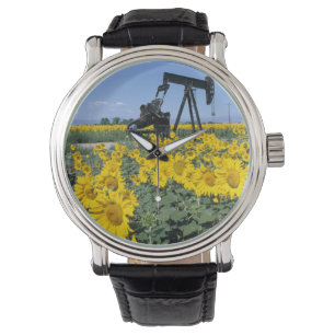 Montre Na, États-Unis, Colorado, Tournesols, Derrick de p