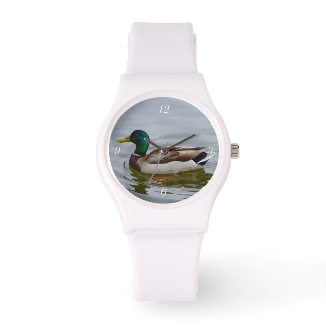 Montre Nager Colvert Nager (Recto)