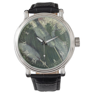 Montre Narvals, Animaux marins vintage Baleines Océan Ani