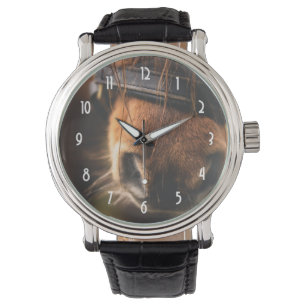 Montre Nez Brown mignon de cheval