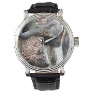 Montre nez de fourmi levée image animal sauvage