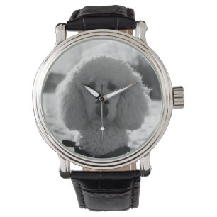 Montre Noir et blanc Poodé visage Chiot yeux