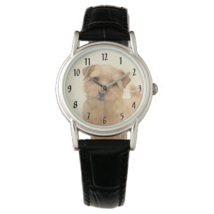 Montre Norfolk Terrier Peinture - Art Chien original