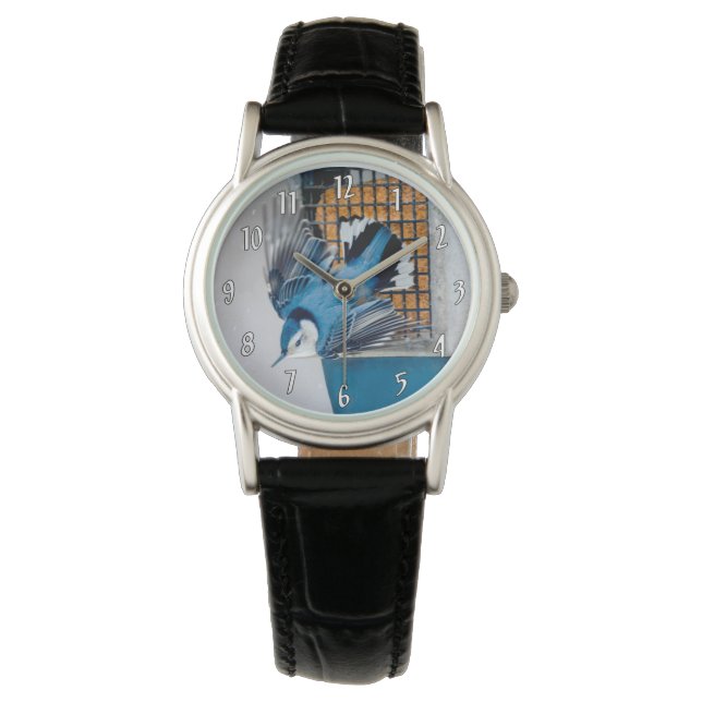 Montre Nuthatch à poitrine blanche en neige (devant)
