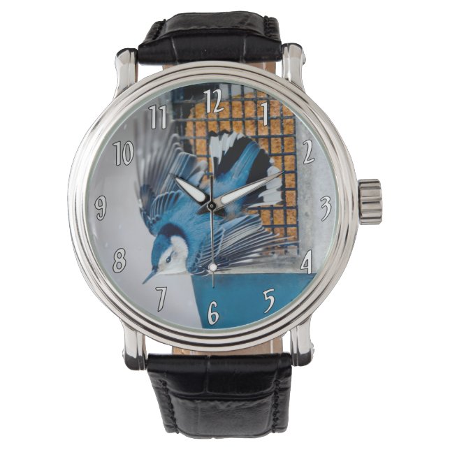 Montre Nuthatch à poitrine blanche en neige (devant)