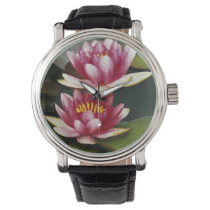 Montre Nymphéas hybrides