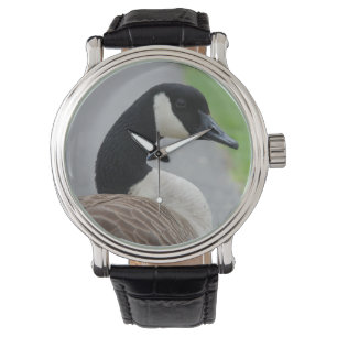 Montre Oie canadienne