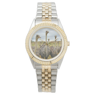 Montre Oiseau d'autruche